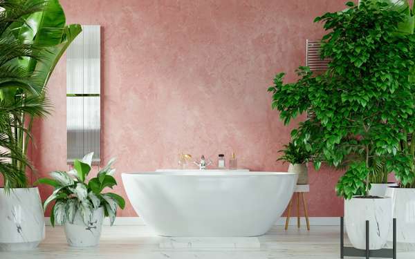 Plants To The Side Of The Bathtub