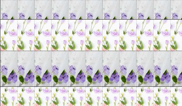 _White colour tiles With  flowers