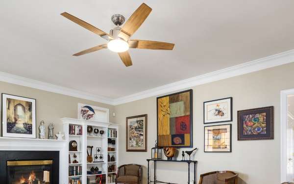 _living room ceiling Fan