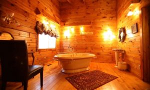 modern cabin bathroom
