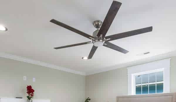 6 winged ceiling fan Living Room