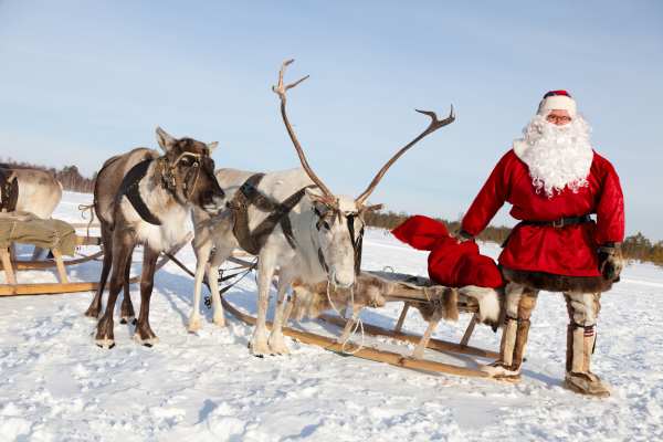 List of materials for Santa's sleigh Santa Sleigh And Reindeer Outdoor Decoration 