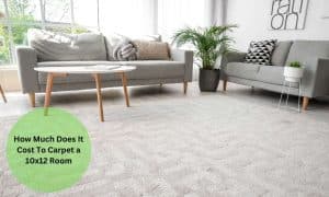 How Much Does It Cost To Carpet a 10x12 Room
